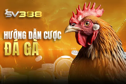 Hướng dẫn cược đá gà SV388